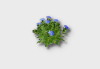 Dwarf Morning Glory icon1.png
