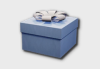 Blue Decoration Box icon1.png