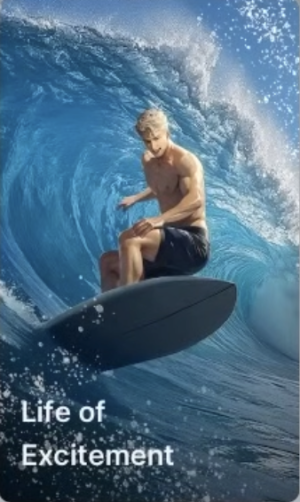 Life of Excitement icon1.png
